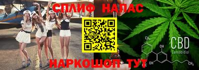 эйфоретик Новокубанск