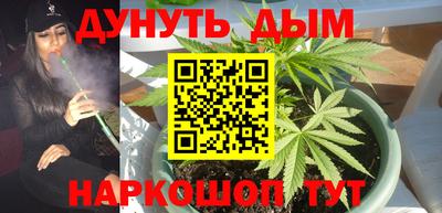 каннабис Новозыбков