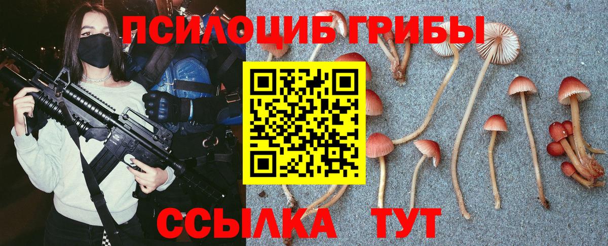 Строитель  Галлюциногенные грибы Psilocybe  Вход с VPN 
